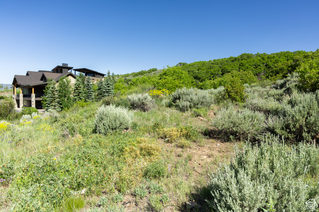 View of undeveloped land