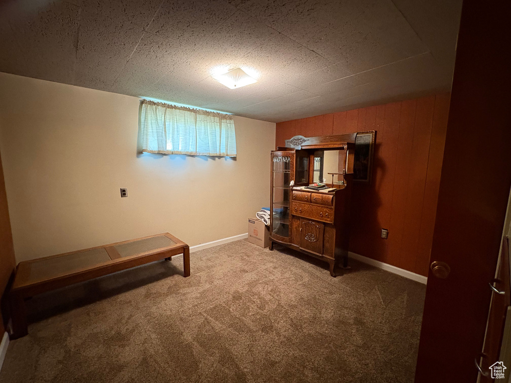 Bedroom with carpet and wooden walls