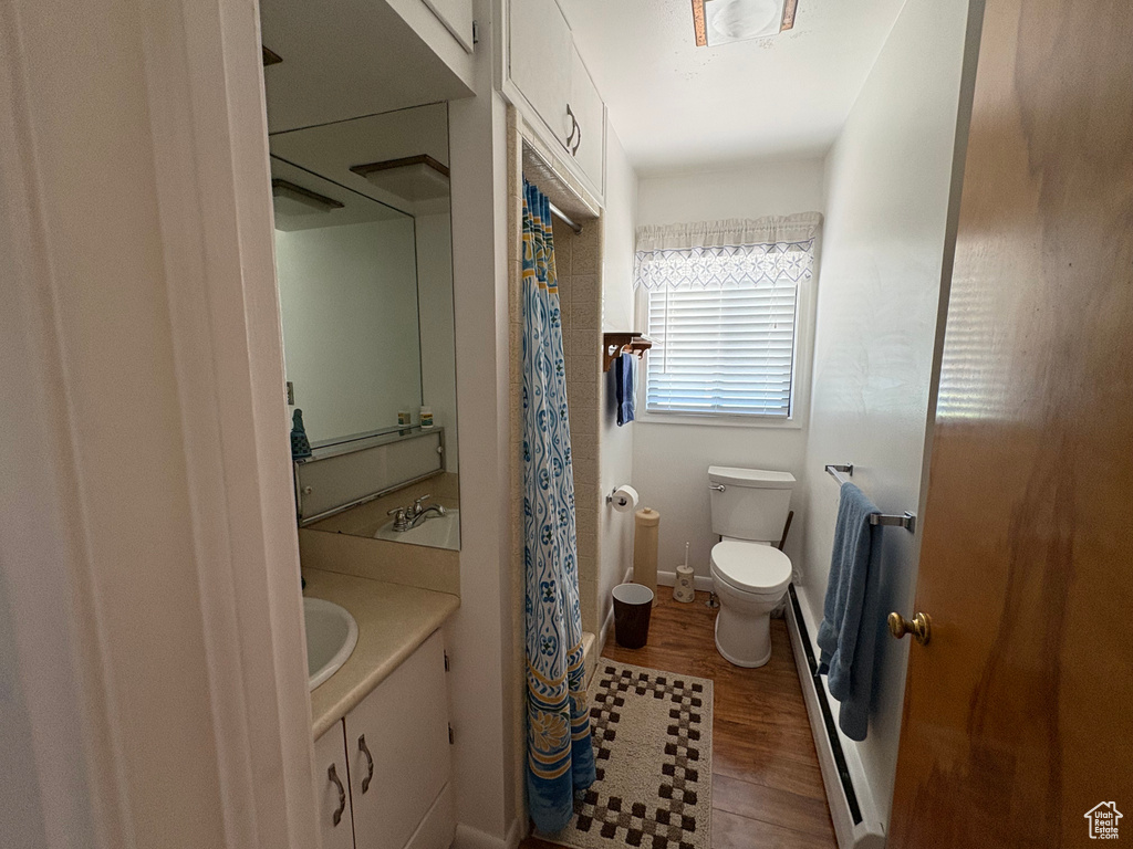 Bathroom with vanity, wood finished floors, and curtained shower