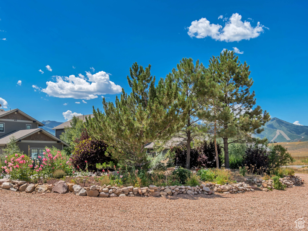 Photo 3 for MLS #2093158 at 366 E Valley Dr