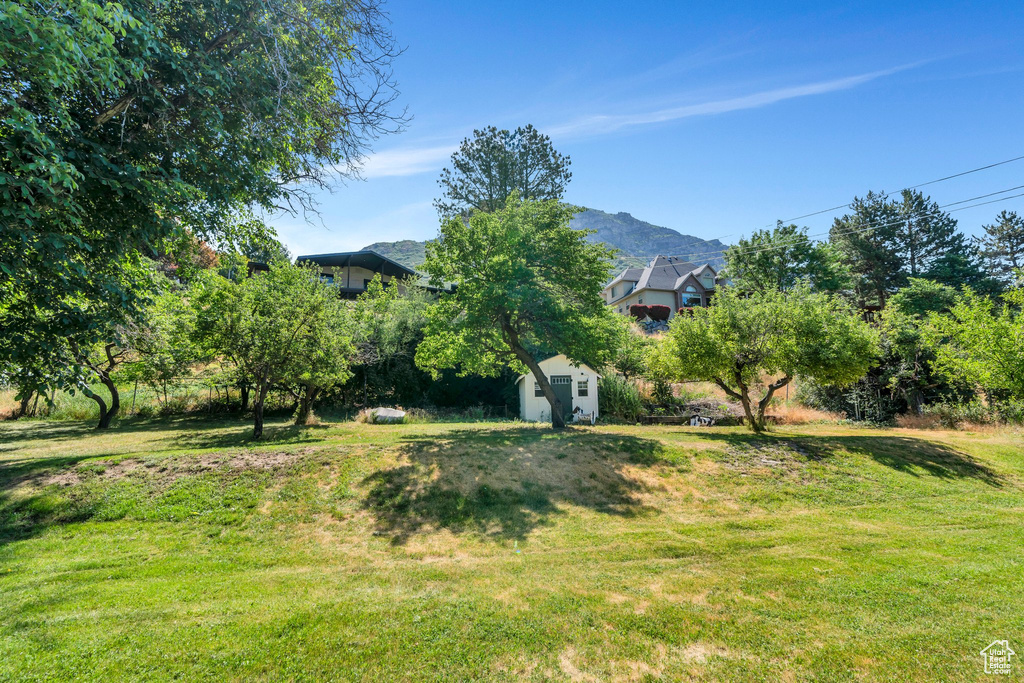 View of grassy yard with a shed