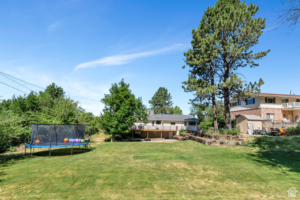View of green lawn featuring a trampoline, a storage shed, and a deck