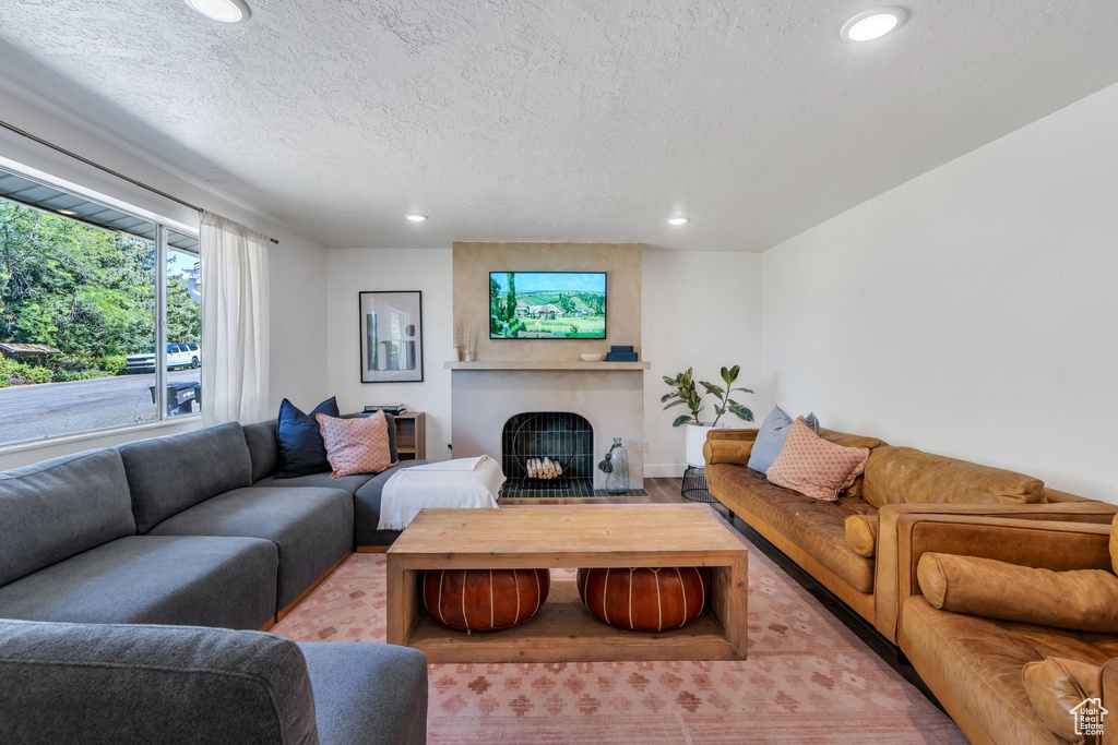 Living area with a fireplace, recessed lighting, wood finished floors, and a textured ceiling