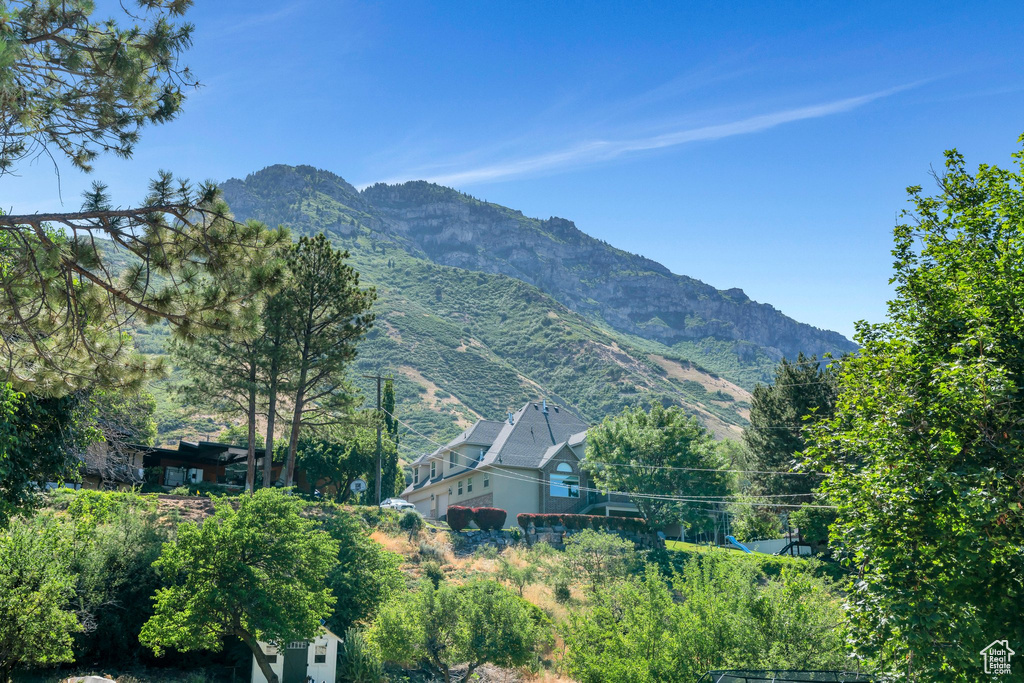 View of mountain background