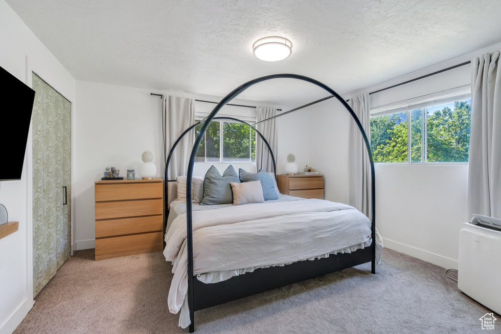 Bedroom featuring multiple windows, carpet floors, and a textured ceiling