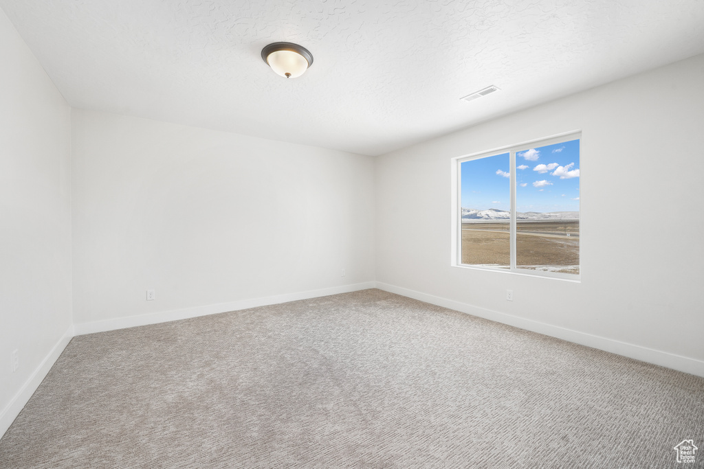 Carpeted spare room featuring baseboards and a textured ceiling