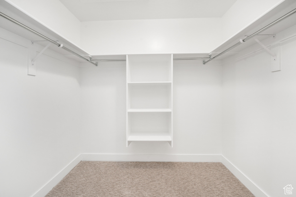Spacious closet with carpet
