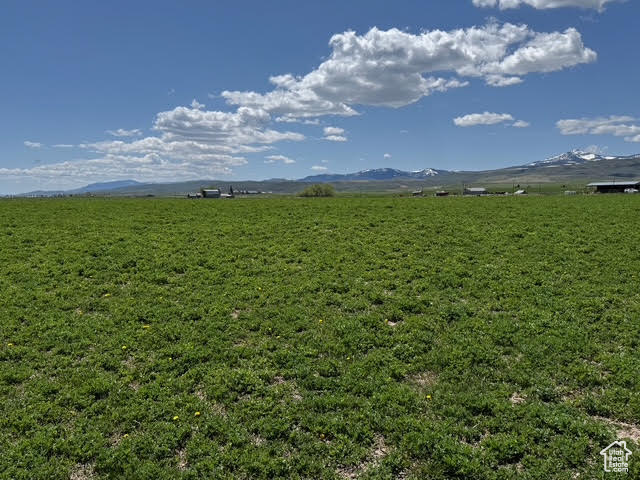 19154  US 89 Montpelier, ID 83254