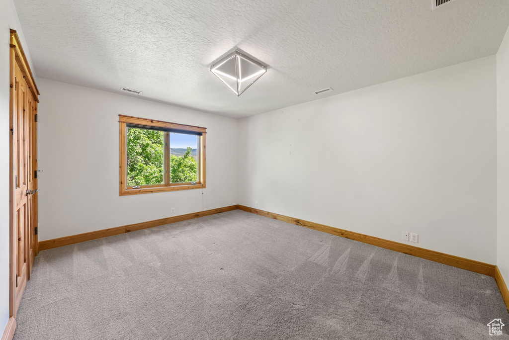 Unfurnished room featuring a textured ceiling and carpet flooring