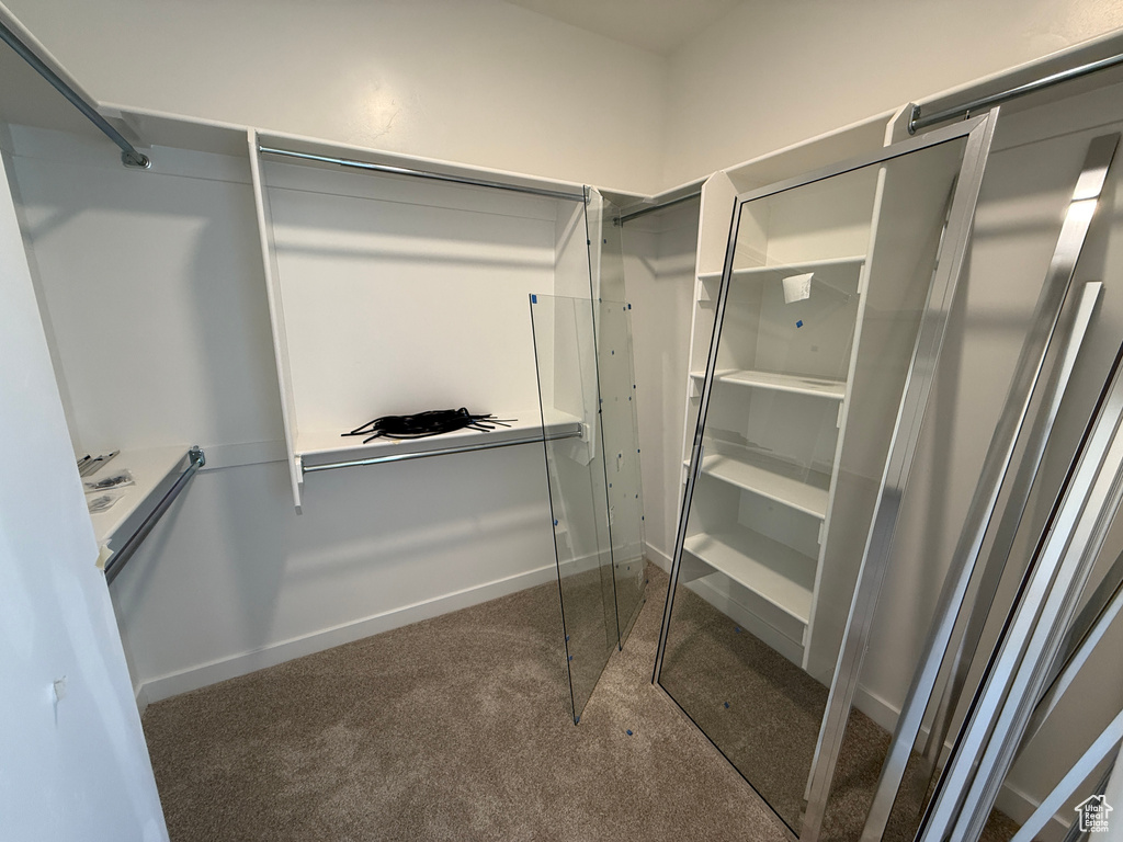 Spacious closet featuring carpet floors