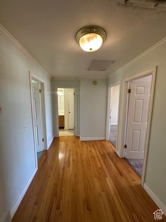 Hall featuring light wood-type flooring and crown molding