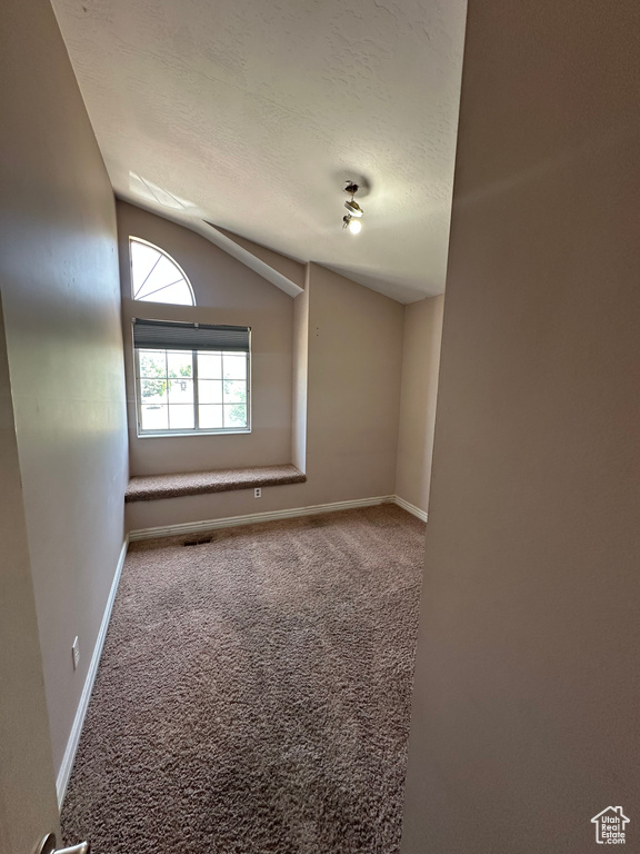 Carpeted spare room featuring a textured ceiling and lofted ceiling