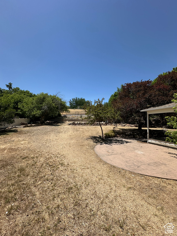 View of yard featuring a patio area
