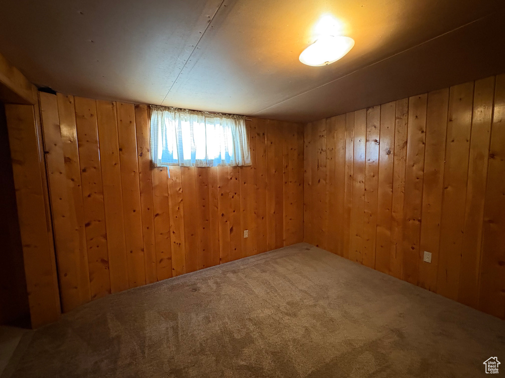 Below grade area featuring carpet flooring and wooden walls
