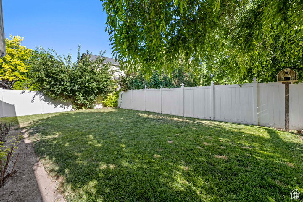 View of fenced backyard
