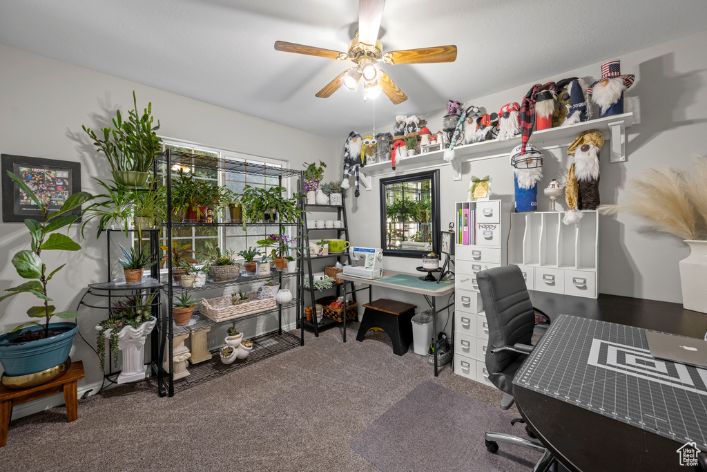 Carpeted office space with a ceiling fan