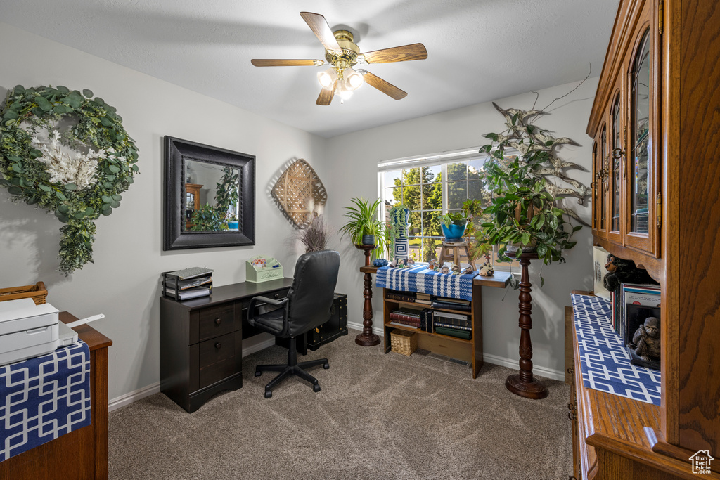 Office space featuring ceiling fan and carpet