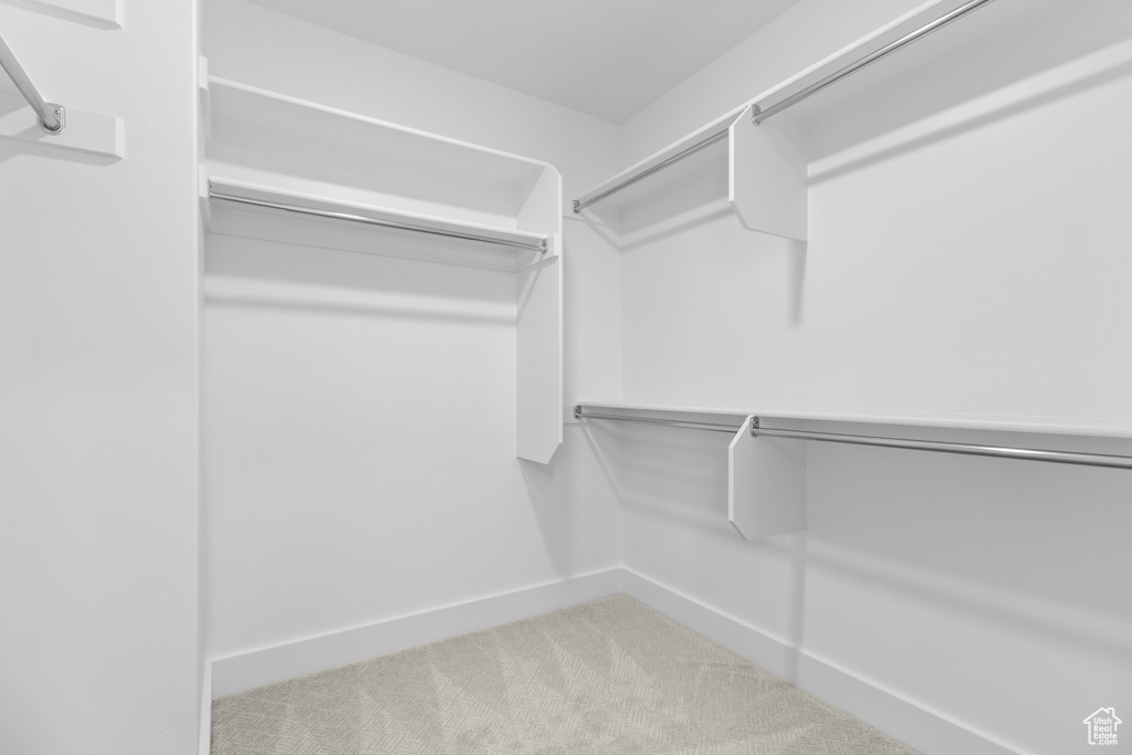 Walk in closet featuring carpet flooring