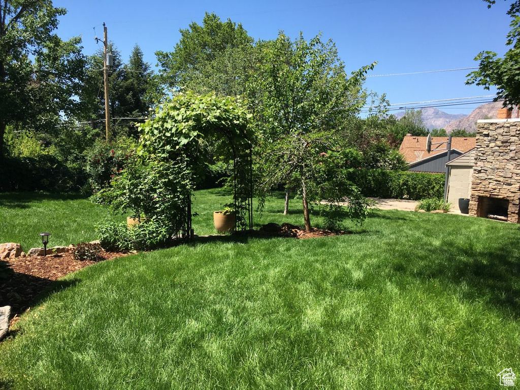 View of grassy yard