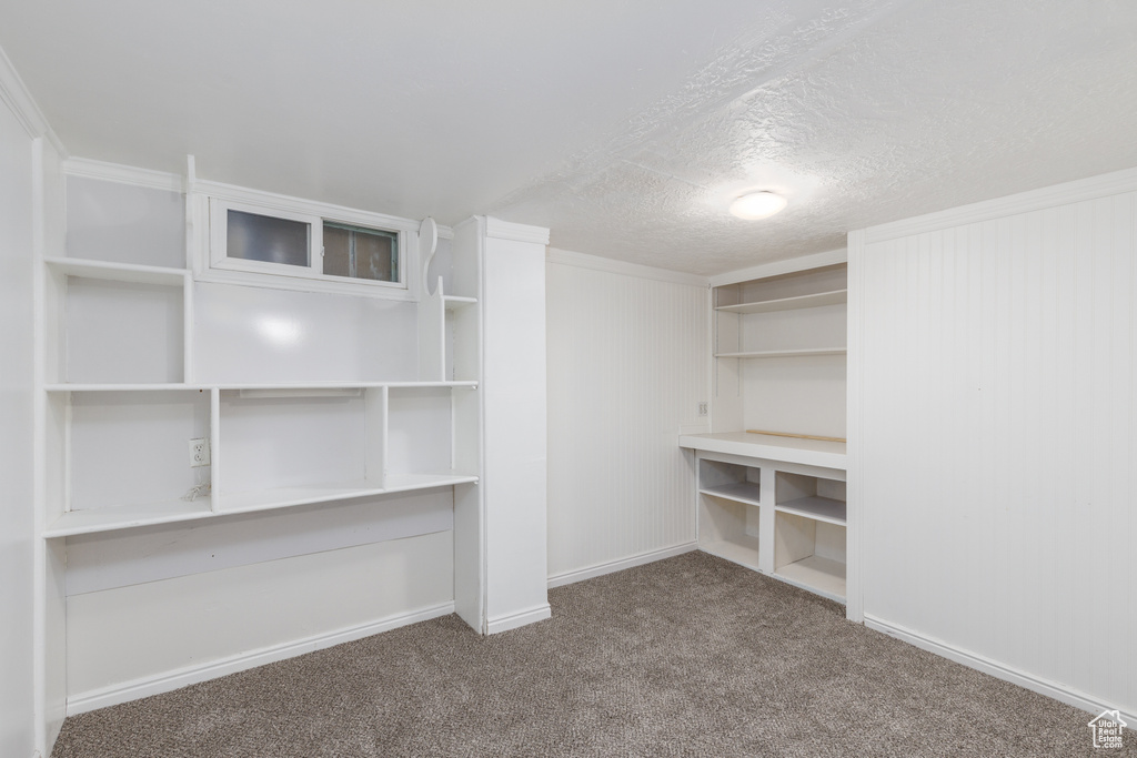 Spacious closet with carpet flooring