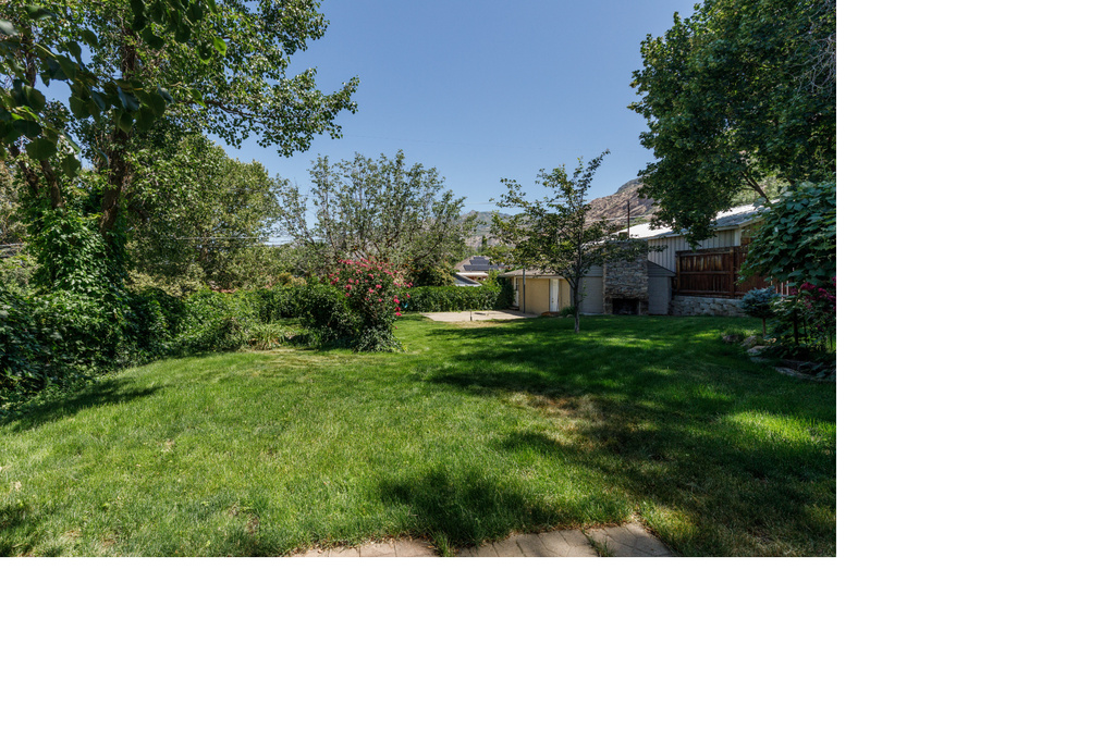 View of grassy yard