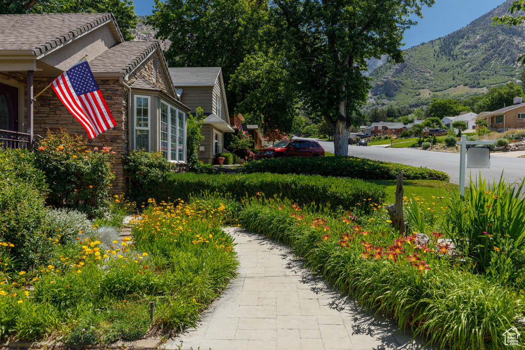 View of yard with a mountain view