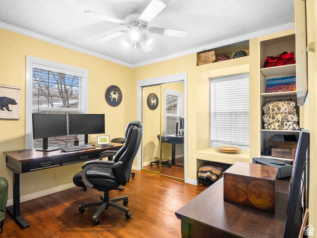 Office space featuring crown molding, wood finished floors, and a ceiling fan