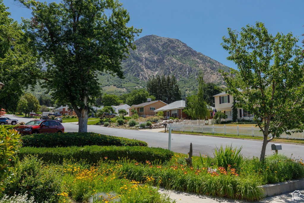 View of mountain background