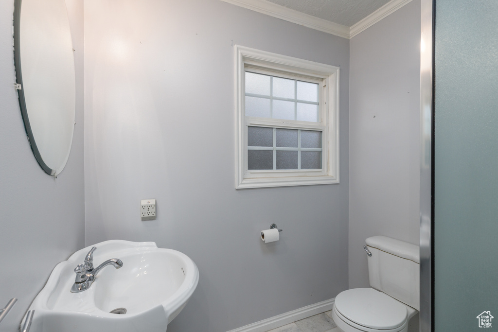 Half bathroom featuring toilet and crown molding