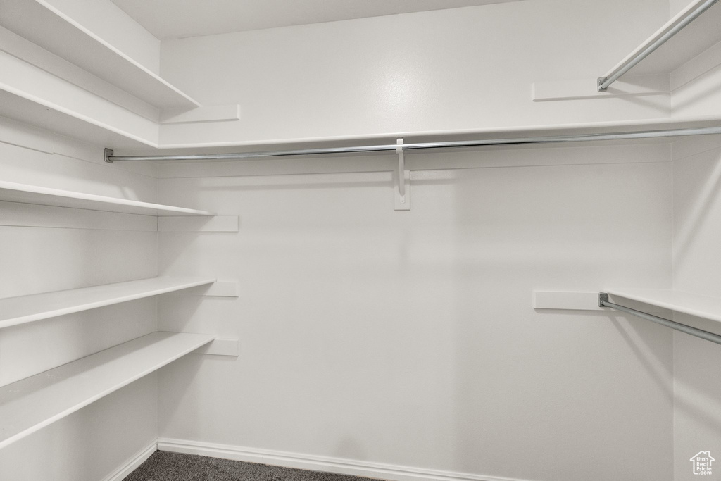 Walk in closet featuring carpet
