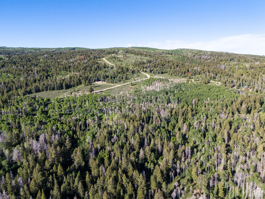 Aerial overview of property's location featuring a heavily wooded area