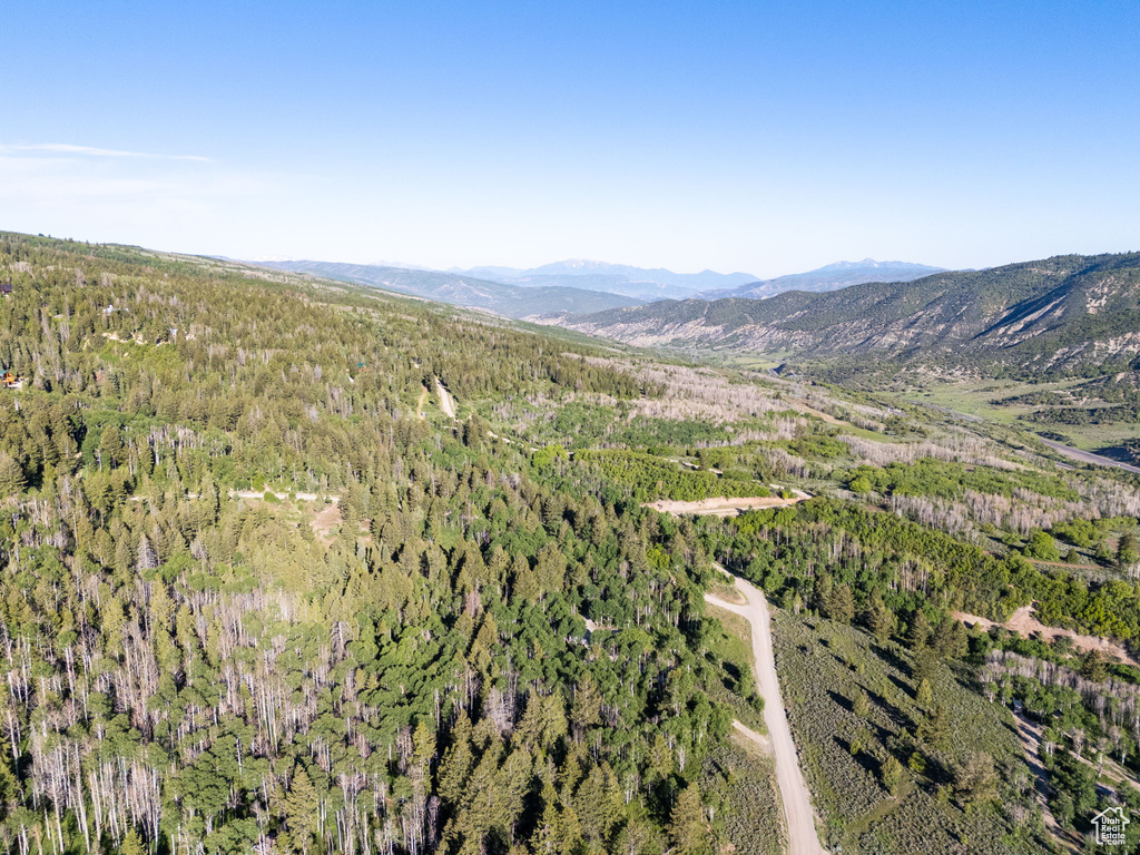 View of mountain background with a heavily wooded area