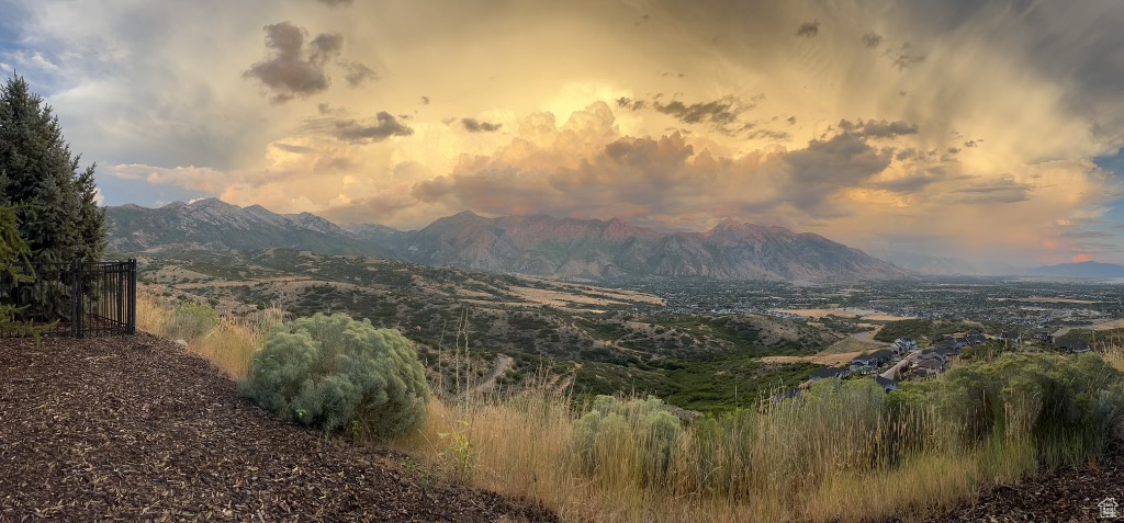 Mountain view