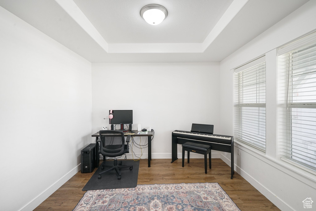 Office featuring a raised ceiling and wood finished floors