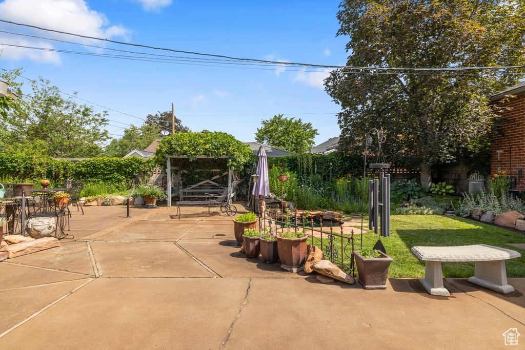 View of patio