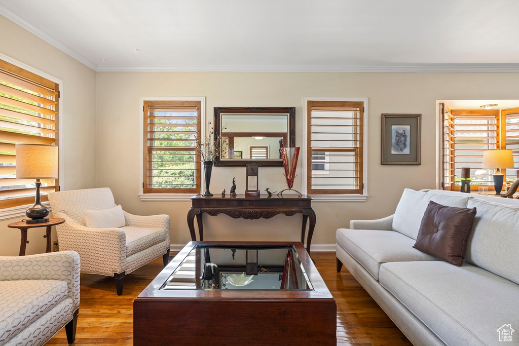 Living room with wood finished floors, crown molding, and plenty of natural light