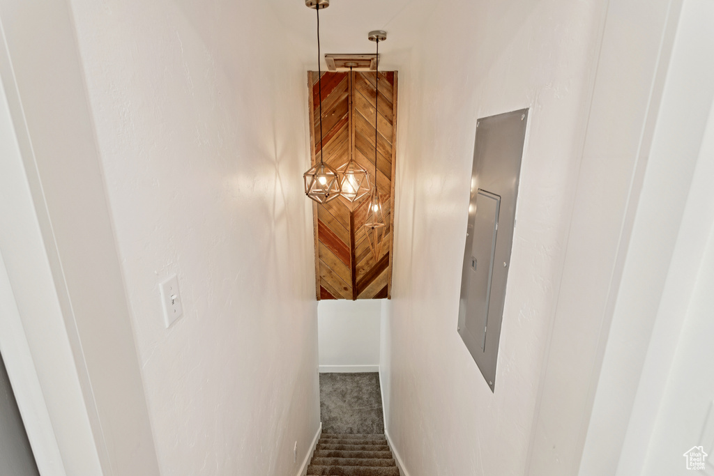 Stairs with carpet floors and electric panel
