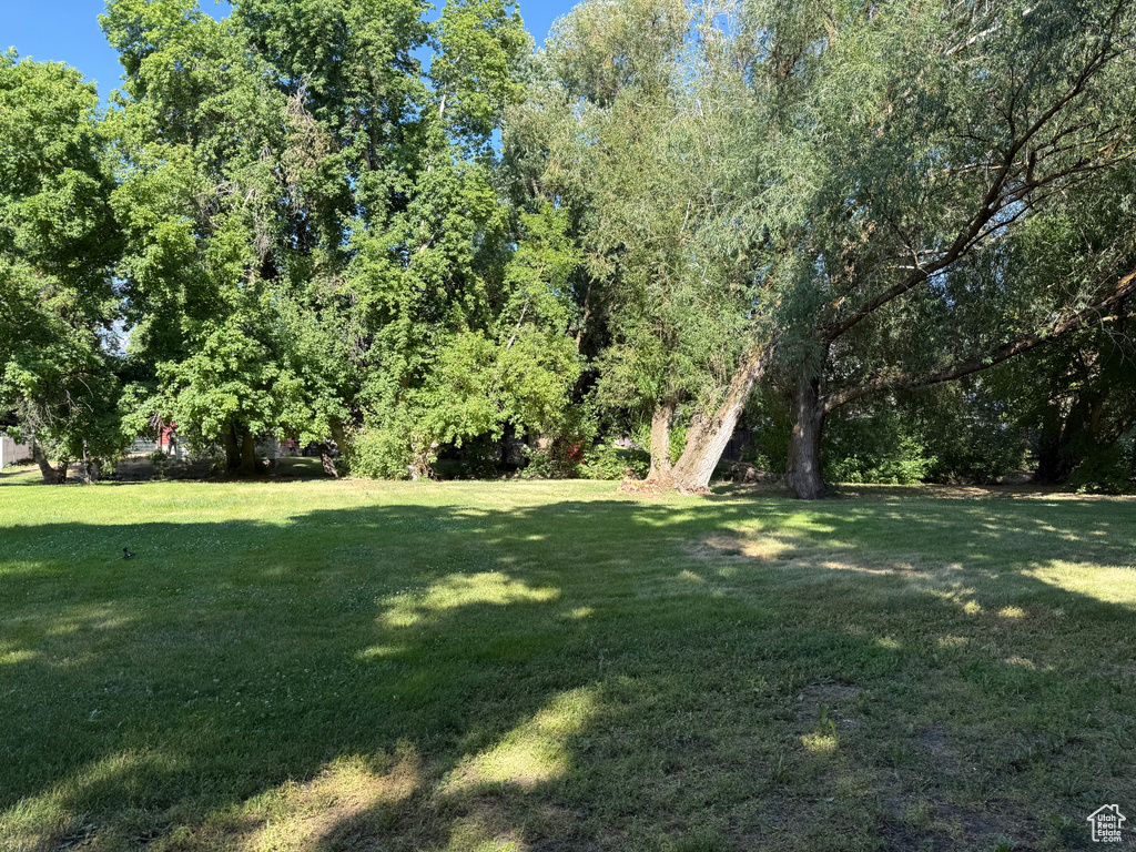 View of green lawn