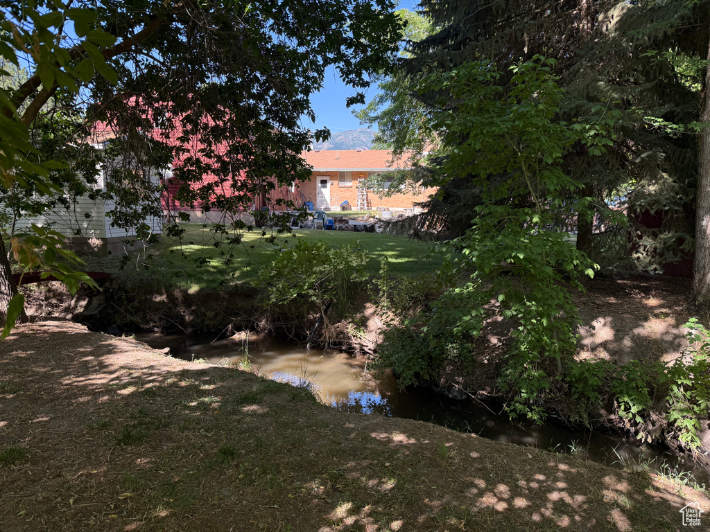 View of green lawn