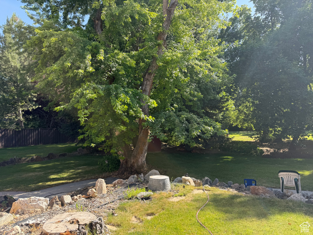View of yard