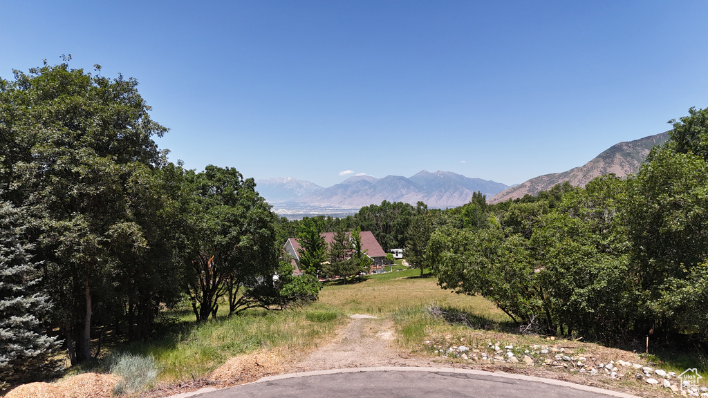 Mountain view