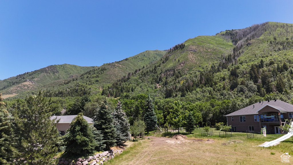 Mountain view with a forest