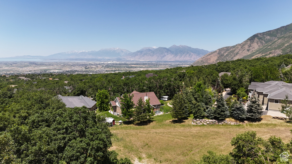 Bird\'s eye view of a mountainous background and a heavily wooded area