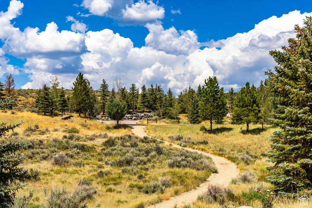 View of undeveloped land