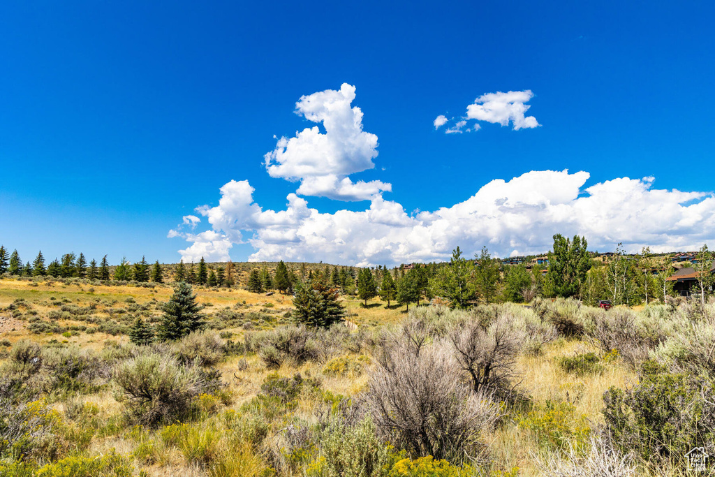 View of undeveloped land with rural landscape