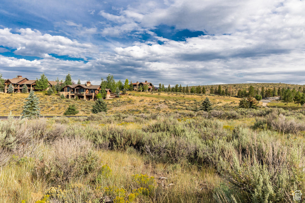 View of local wilderness