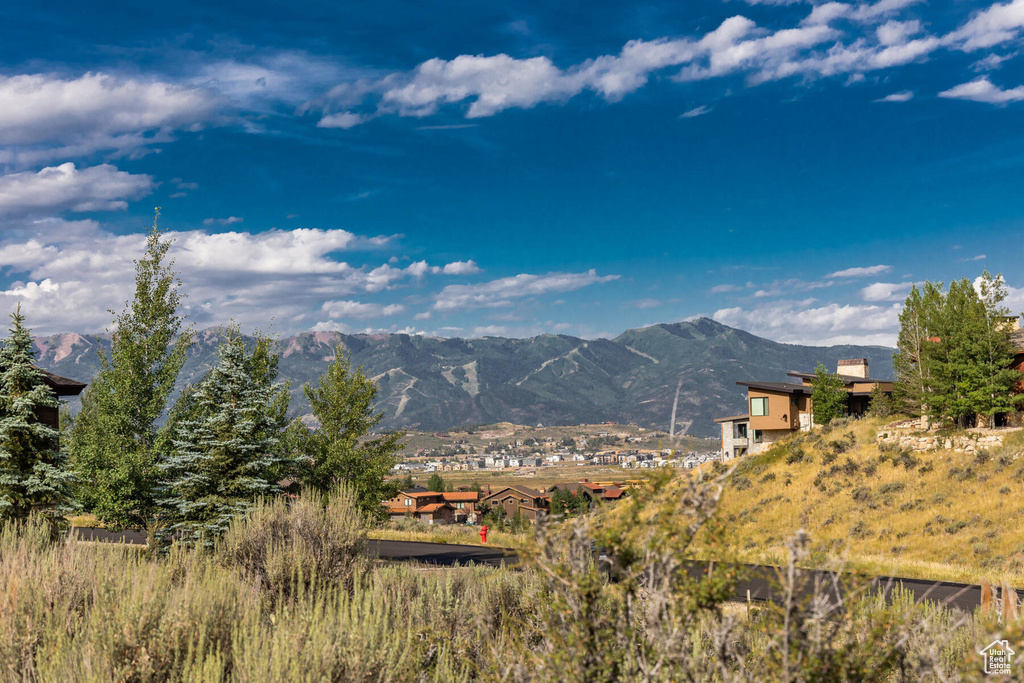 View of mountain background