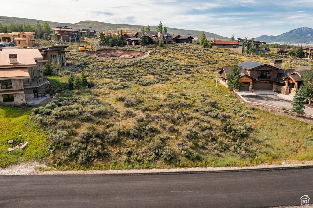 Aerial perspective of suburban area featuring mountains
