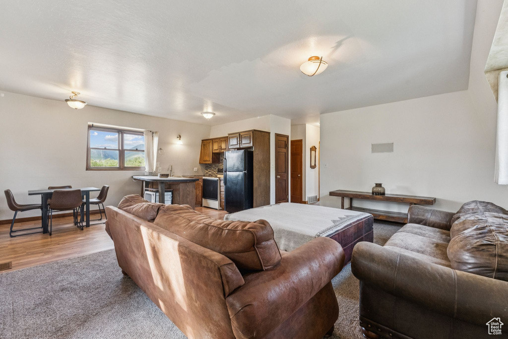 Living room featuring light wood-type flooring and light carpet