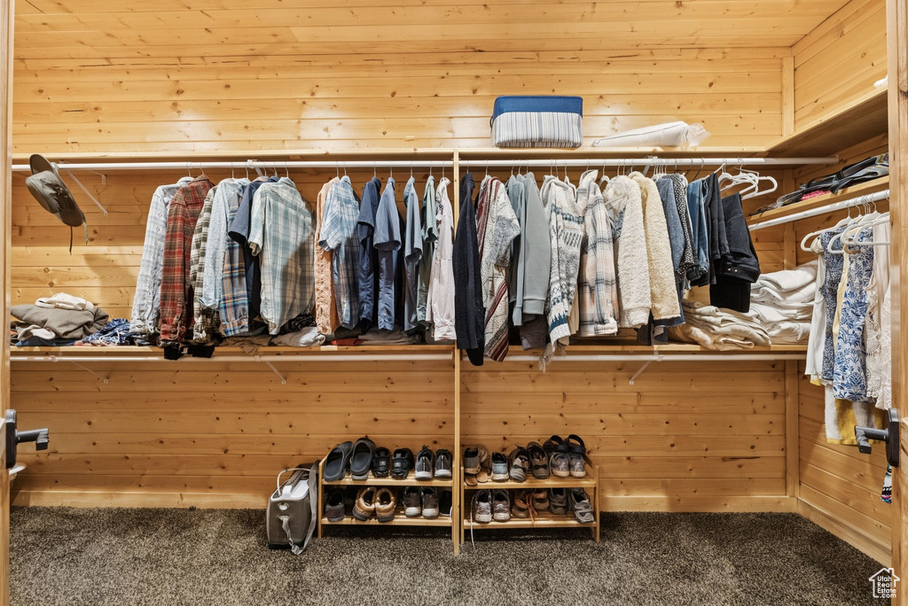 Spacious closet featuring carpet floors